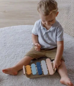 Plan Toys Xylophone Toy -Toy Shop 0ddaf9f645259f6ea7f5a124c516f5ab20cfb254ee1c5fc437bdedfb2bf8724a jpeg