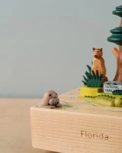 Florida Wooden Music Box -Toy Shop 2J2A1218