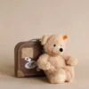 Steiff, Fynn Teddy Bear In Suitcase