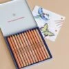 Stockmar Triangular Coloured Pencil Set - 12