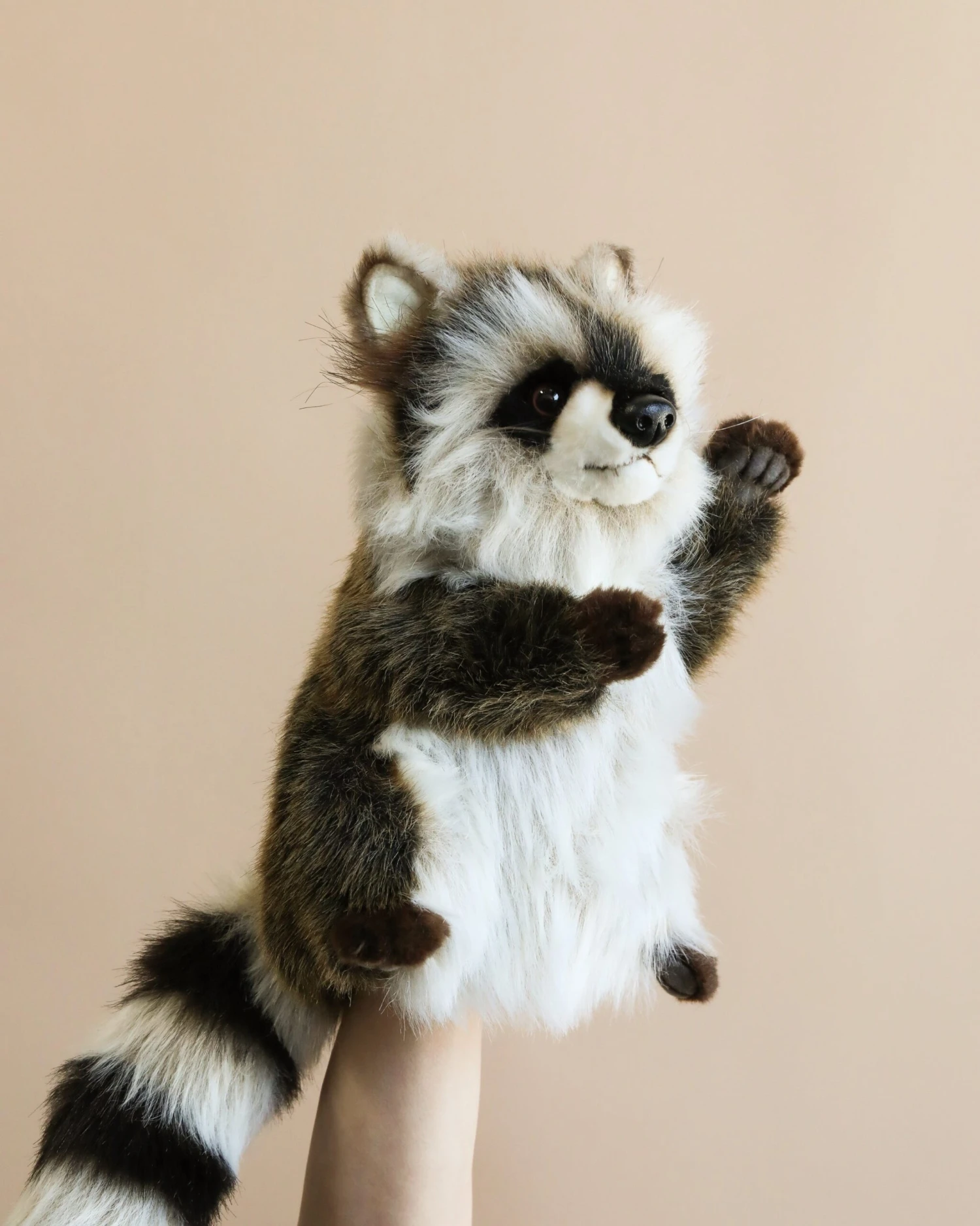 Hansa Raccoon Puppet 1 Hansa Raccoon Puppet