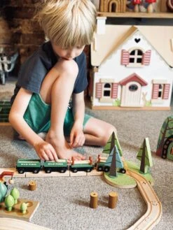 Tender Leaf Toys Wild Pines Train Set -Toy Shop TL8702 wild pines train set 12 jpg